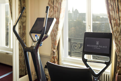 BELLEVUE PALACE - Photo 48