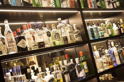 BELLEVUE PALACE - Photo 73