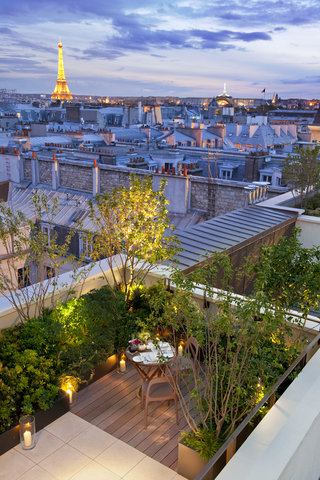 MANDARIN ORIENTAL PARIS - Photo 36