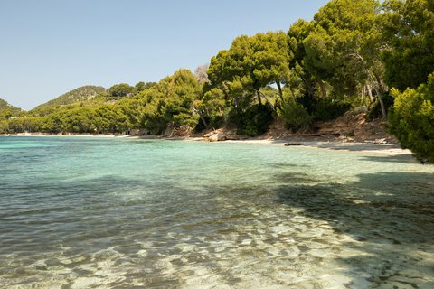 FOUR SEASONS RESORT MALLORCA AT FORMENTOR - Photo 10