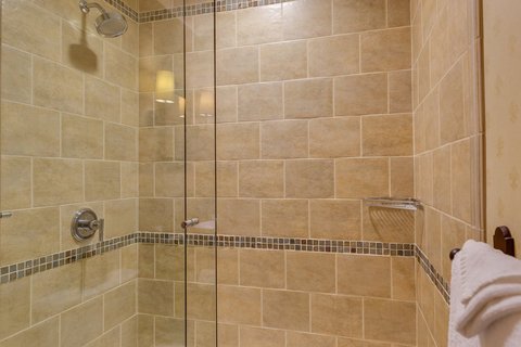 One Bedroom Luxury Suite Shower