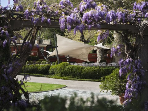 Grill Restaurant Detail With Wisteria