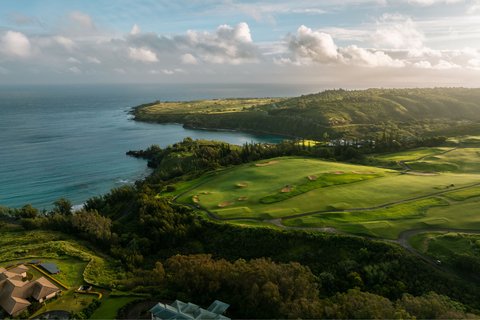 THE RITZ-CARLTON KAPALUA - Photo 227