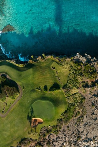 THE RITZ-CARLTON KAPALUA - Photo 228