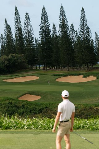THE RITZ-CARLTON KAPALUA - Photo 229