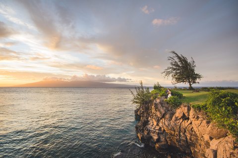 THE RITZ-CARLTON KAPALUA - Photo 301