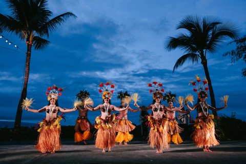 THE RITZ-CARLTON KAPALUA - Photo 272