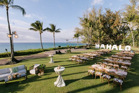THE RITZ-CARLTON KAPALUA - Photo 273