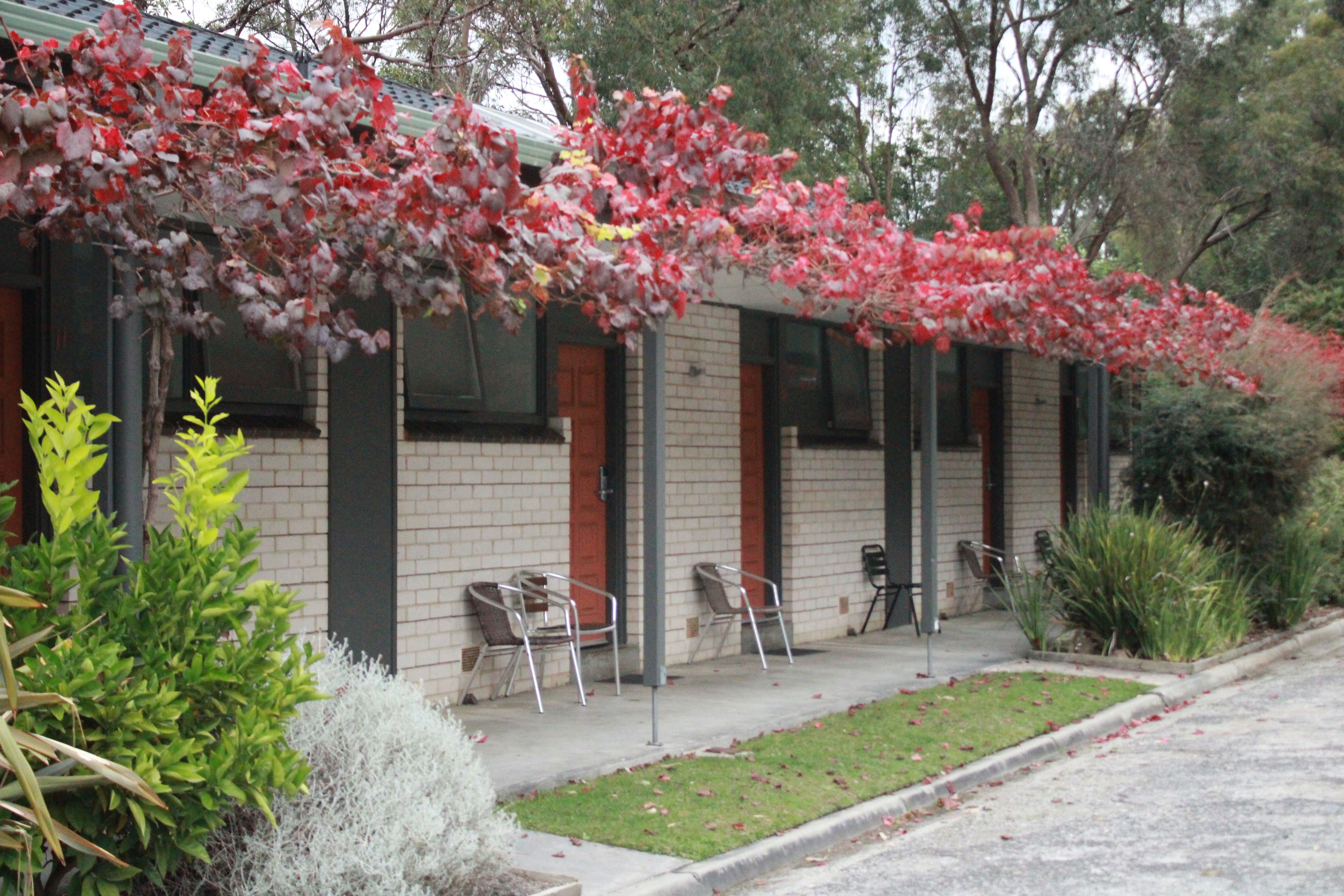 PROM COUNTRY LODGE-guestroom-Rooms External .jpg