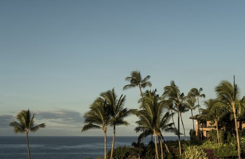 FOUR SEASONS RESORT LANAI - Photo 3
