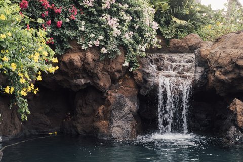 FOUR SEASONS RESORT LANAI - Photo 4