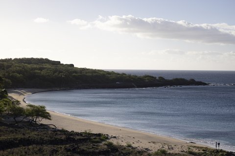 FOUR SEASONS RESORT LANAI - Photo 92