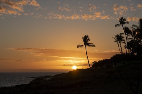 FOUR SEASONS RESORT LANAI - Photo 94