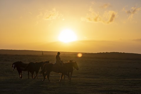 FOUR SEASONS RESORT LANAI - Photo 95