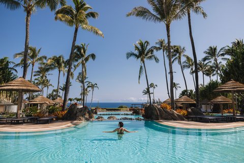 THE RITZ-CARLTON KAPALUA - Photo 155