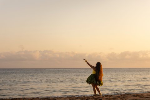 THE RITZ-CARLTON KAPALUA - Photo 208