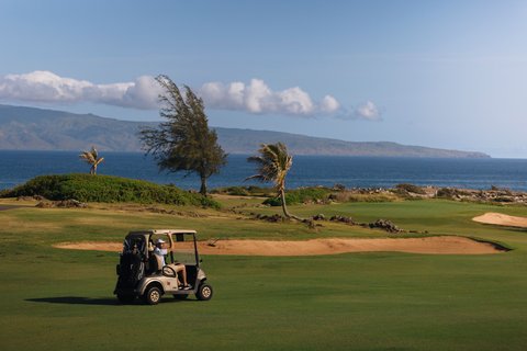 THE RITZ-CARLTON KAPALUA - Photo 232