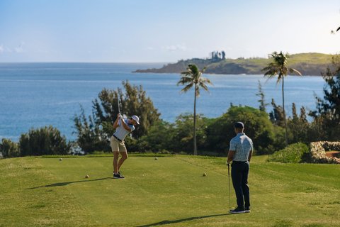 THE RITZ-CARLTON KAPALUA - Photo 233