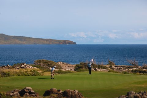 THE RITZ-CARLTON KAPALUA - Photo 234