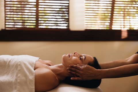 THE RITZ-CARLTON KAPALUA - Photo 243