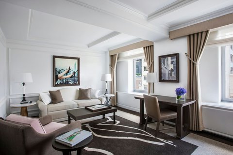 THE RITZ-CARLTON CENTRAL PARK - Photo 19