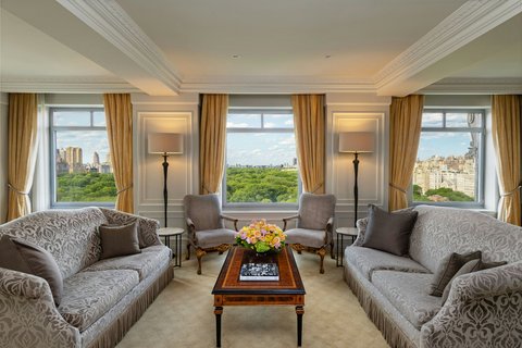 THE RITZ-CARLTON CENTRAL PARK - Photo 16