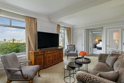 THE RITZ-CARLTON CENTRAL PARK - Photo 49
