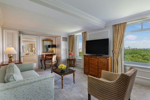 THE RITZ-CARLTON CENTRAL PARK - Photo 46