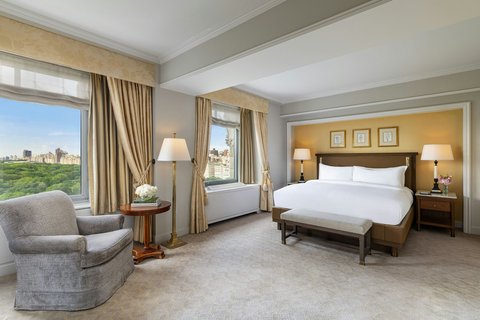 THE RITZ-CARLTON CENTRAL PARK - Photo 50