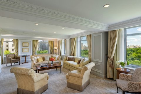 THE RITZ-CARLTON CENTRAL PARK - Photo 15