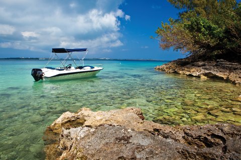 ROSEWOOD BERMUDA - Photo 40