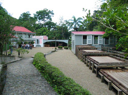  - Holiday Inn Ponce & Tropical Casino