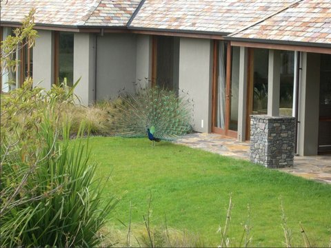 TREETOPS LODGE AND ESTATES - Main Photo