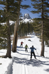  - Tamarack Lodge Resort Mammoth Lakes