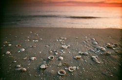  - Island Inn Sanibel Island