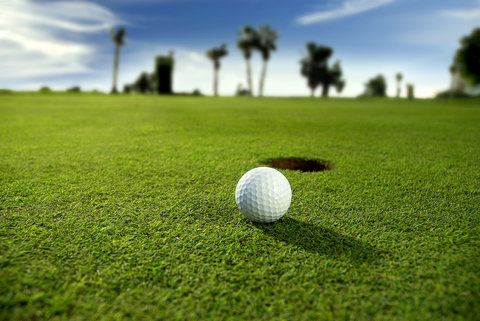 BAHIA DEL DUQUE - Photo 46