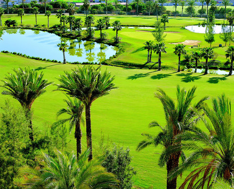 BAHIA DEL DUQUE - Photo 47