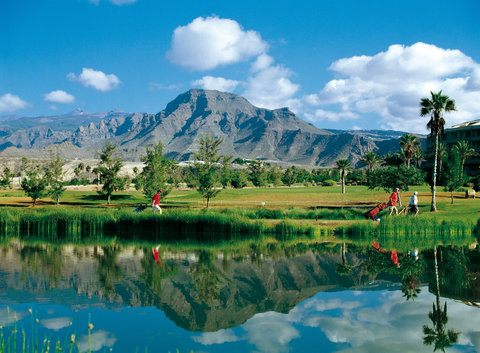 BAHIA DEL DUQUE - Photo 49