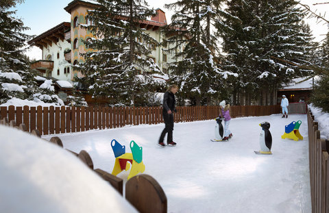 HOTEL LES AIRELLES - Photo 38