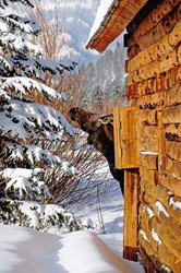  - Rainbow Ranch Lodge Gallatin Gateway