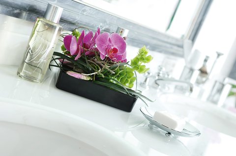 BAUR AU LAC - Photo 26