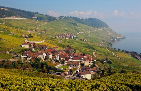 HOTEL DES TROIS COURONNES - Photo 30