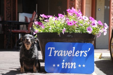 Petfriendly