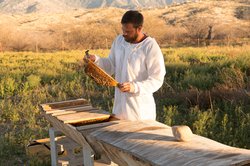  - Miraval Arizona Resort & Spa Catalina