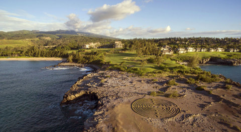 THE RITZ-CARLTON KAPALUA - Photo 45