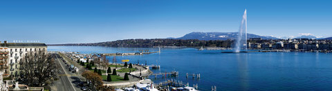 BEAU-RIVAGE  GENEVA - Photo 23