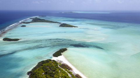 SONEVA JANI - Photo 3