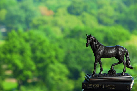 THE RITZ-CARLTON CENTRAL PARK - Photo 52