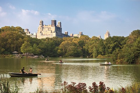 THE RITZ-CARLTON CENTRAL PARK - Photo 47