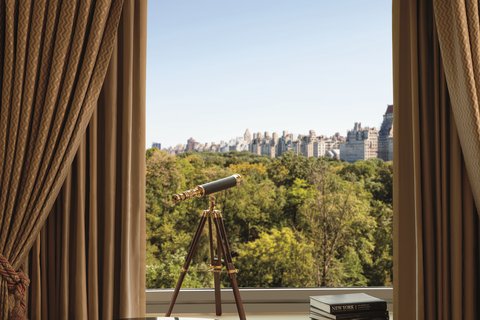 THE RITZ-CARLTON CENTRAL PARK - Photo 43